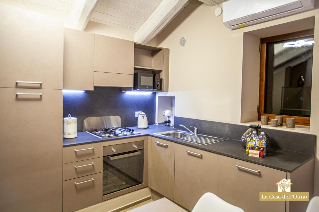 La Casa Dell'Olmo - Suite Apartment Cuneo Dış mekan fotoğraf