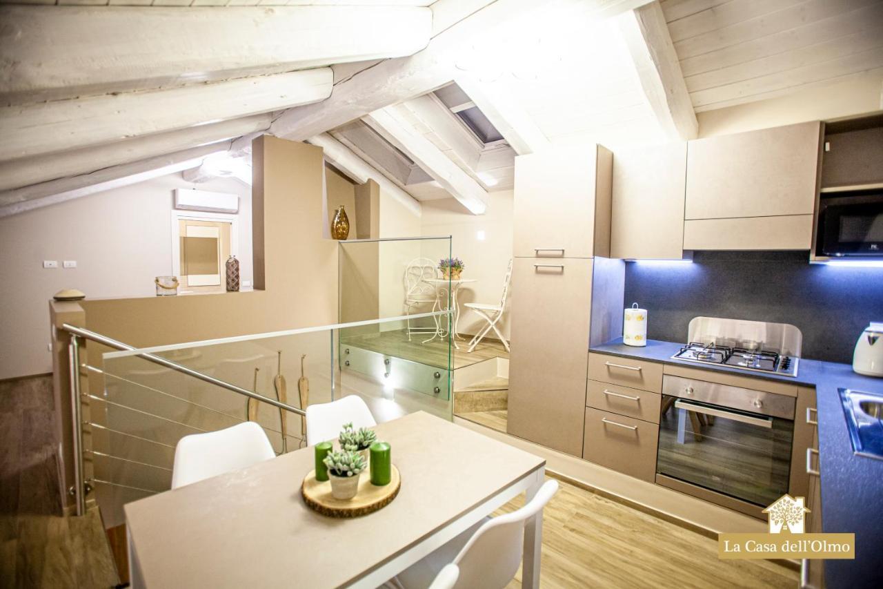 La Casa Dell'Olmo - Suite Apartment Cuneo Dış mekan fotoğraf